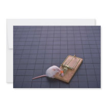 Mouse and trap custom announcement