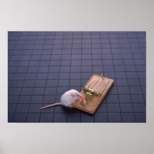 Mouse and trap print