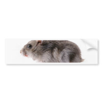 “Mouse " Bumper Stickers
