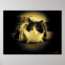 Mouse eye view print