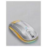 mouse flyers