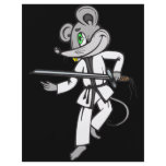 Mouse Martial Arts flyers