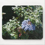 Mouse pad mousepads