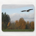 mouse pad15 mousepads