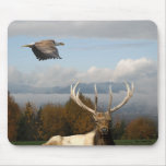mouse pad16 mousepads