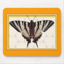 Mouse pad681 mousepads