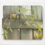 Mouse Pad 507