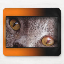 Mouse Pad 645 mousepads