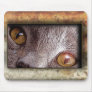 mouse pad 647