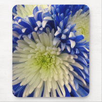 Mouse Pad - Blue & White Spider Mums mousepads