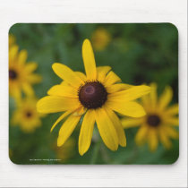 Mouse Pad, Brown Eyed Susan - mousepads