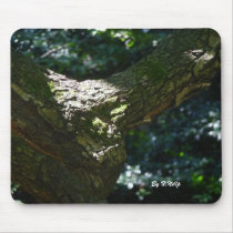 Mouse Pad: Face in Sunlight mousepads