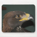 Mouse pad, Golden eagle - mousepads by NatureGuy Mouse pad, Golden eagle - mousepads