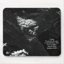 Mouse Pad Gremlin in Central mousepads