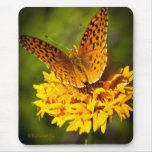 Mouse Pad