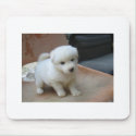 Mouse Pad mousepads