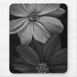 Mouse Pad