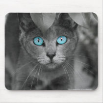 Mouse Pad mousepads by reneespade Mouse Pad mousepads