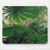 Mouse pad mousepads