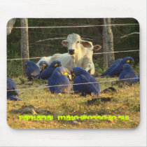 Mouse Pad - Pantanal of the MS.