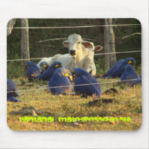 Mouse Pad - Pantanal of the MS.