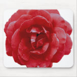 Mouse Pad - Red Red Rose