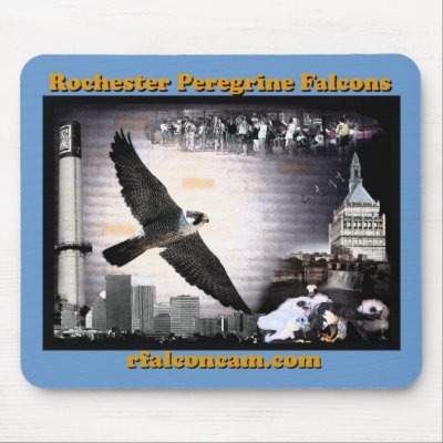 Mouse Pad Rochester Peregrine Falcons by rfalconcam