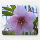 Mouse pad with flower mousepads