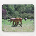 Mouse pad with horses mousepads