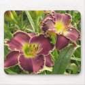 Mouse Pad with Pair of Purple Daylilies mousepads
