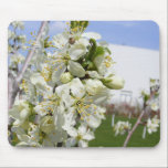 Mouse pad with spring flower mousepads