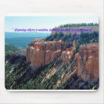 Mouse Pads: Knowing others is wisdom, knowing your mousepads