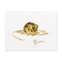 Mouse Post Card postcards