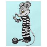 Mouse Prisoner flyers