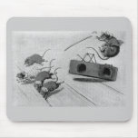 Mouse Safely Springs Mousetrap Mouse Pad