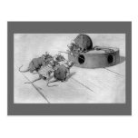 Mouse Seeks to Disable Mousetrap Postcards