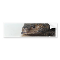 Mouse Shorty Tongue bumper stickers