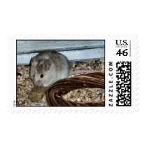 Mouse stamps