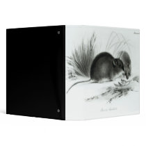 Mouse, Tierra del Fuego, South America c.1832-36 Binders