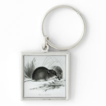 Mouse, Tierra del Fuego, South America c.1832-36 Keychains