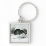 Mouse, Tierra del Fuego, South America c.1832-36 Keychains