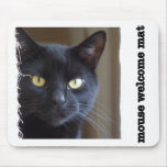 bernie-mac-the-cat, black cat, cat mousepad