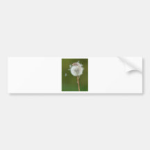 Mouse Wishes Bumper Sticker