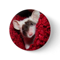 Mouse - Zorro buttons