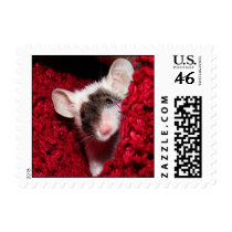 Mouse - Zorro postage