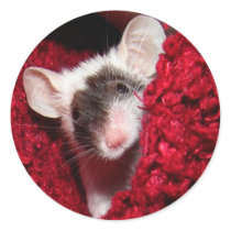Mouse - Zorro stickers