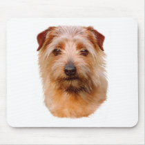 Mousemat : Norfolk Terrier dog mousepads