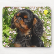 Mousematt : King charles spaniel english toy dog mousepads