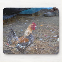 Mousepad mousepads