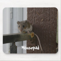 Mousepad by DiEtte Mousepad